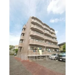 ザ ボックス新西の画像