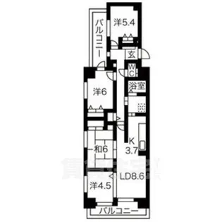バンベール金山【3階】の間取り
