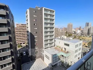 ピースクエアシュモクの画像