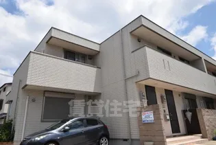 ドルフファミリアの画像