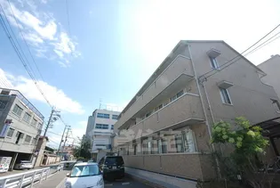 ティエラの画像