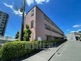 グランドール八光の画像