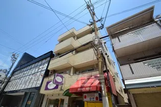 レオハイムスギの画像