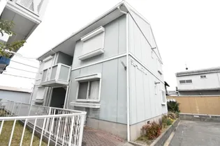 デムール ノアンの画像