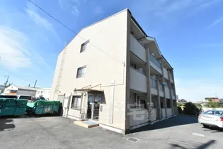 大阪府堺市中区平井【マンション】の外観