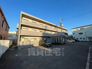 アヤゾノセブンの画像