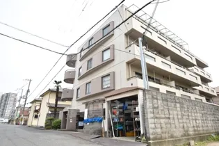 デルフィー鳳の画像