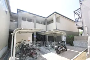 ピアチェーレの画像