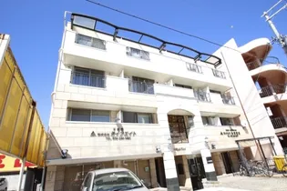 大阪府堺市堺区東雲西町1丁【マンション】の外観