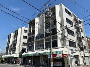 大阪府堺市堺区東雲西町4丁【マンション】の外観
