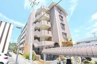 ドムール祐村の画像