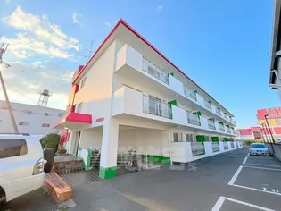 ステラマリス伸和の画像