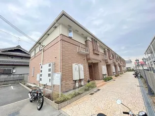 シェーン ホーフの画像