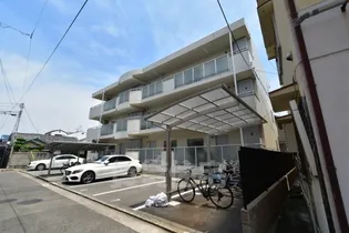 アコルドオクノの画像