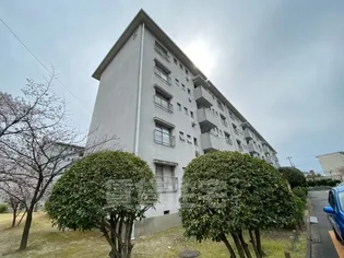 浅香山住宅6号棟の画像