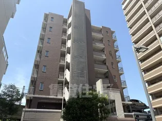 テラス天の川の画像
