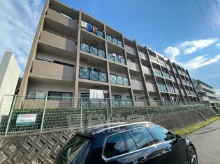 プリムベール向丘【2階】の外観