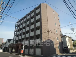 PRIMAの画像
