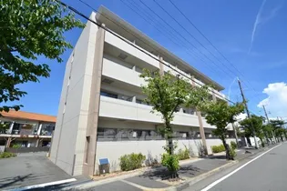 アクシスの画像