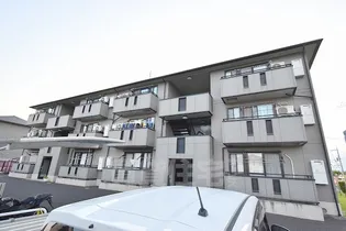 THICK FORESTの画像