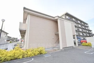 セルピエの画像