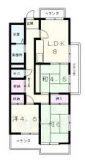パールハイツ打出浜【11階】の間取り