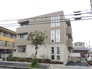 スペランサの画像