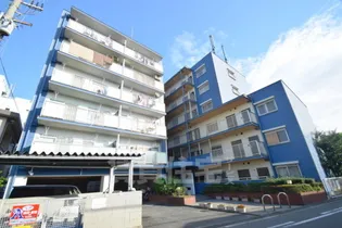 ウィンディ田中の画像