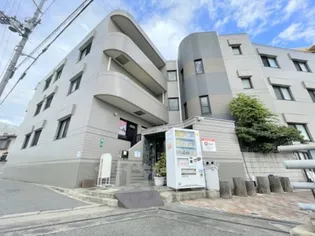 ピヴォットの画像