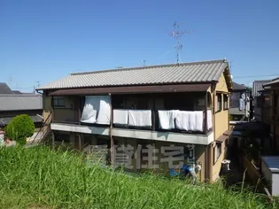 ルピナスKの画像