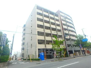 ステラ ランドの画像