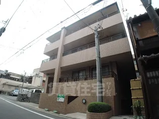 リノ若宮の画像