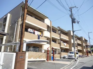 ROSY GARDENの画像