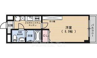フラッティ壬生坊城【4階】の間取り
