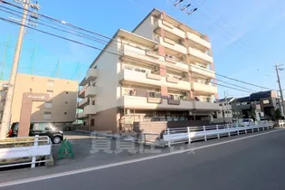 サンフローラ桂【4階】の外観