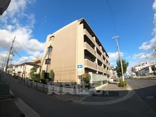 ラフィーネ井上の画像