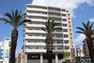 大阪府堺市堺区竜神橋町1丁【マンション】の外観