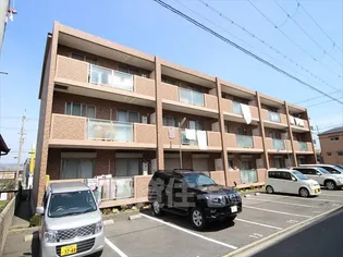 アムールカセイの画像