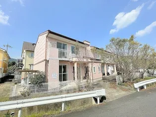 モンターニュの画像