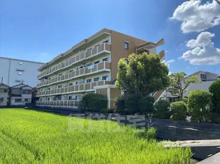 フレーバーフラッツの画像