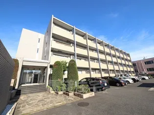 カーサリーヴァドゥーエの画像