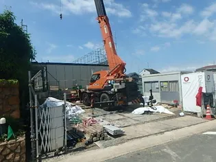 ティンカー ベルの画像