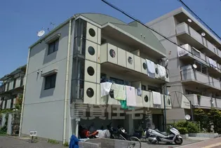 プティコスモの画像