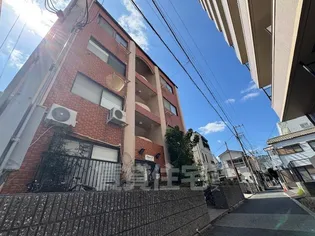 シャインスリーの画像