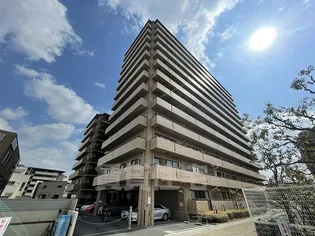 ルネ門戸の画像