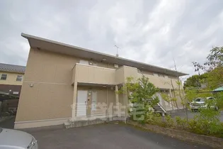 シャン リアンT Yの画像