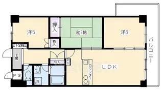サウスビン【5階】の間取り