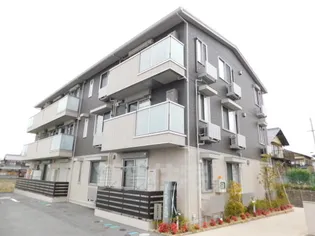 サニーコートアレックスの画像