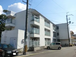 松儀ハイツ【303号室】の外観