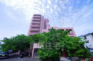 シャンテ辻亀の画像